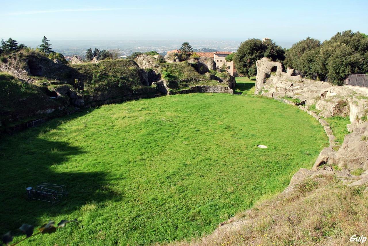 דירות אלבנו לזיאלה Monolocale Turistico Valentini מראה חיצוני תמונה